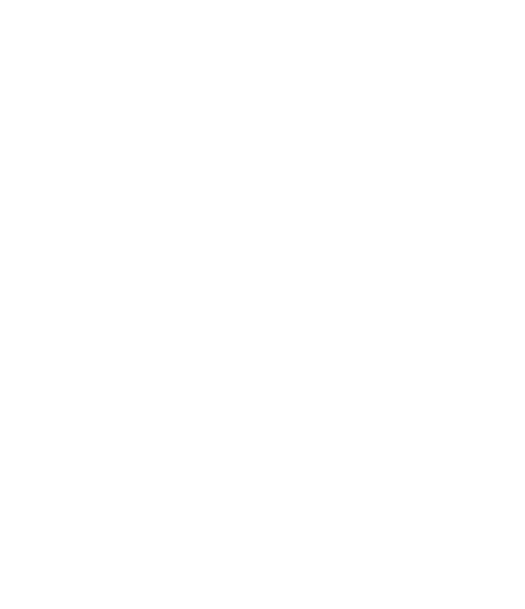 Minerals Guy
